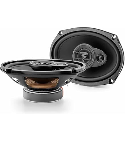 Amazon.com: Focal ACX690 Auditor EVO Series 6