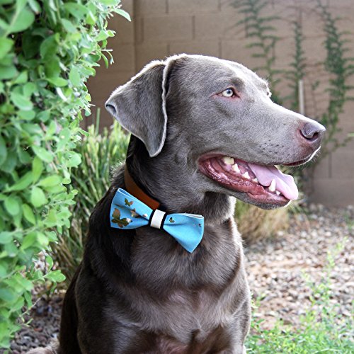 Pet Me With Love "The Park" Bow Tie - Bluegrass Style 1 (Small)