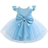 Infant Baby Girls Wedding Flower Girl Dress Pearls Tulle Tutu Dress Bowknot V Back Pageant Party Birthday Formal Dresses