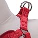 Blueberry Pet 4 Colors Better Basic Dog Harness Vest, Rouge Red, Chest Girth 17