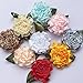 Chenkou Craft 40pcs Ribbon Flowers Bows Carnation Appliques Sewing Craft (Multi)