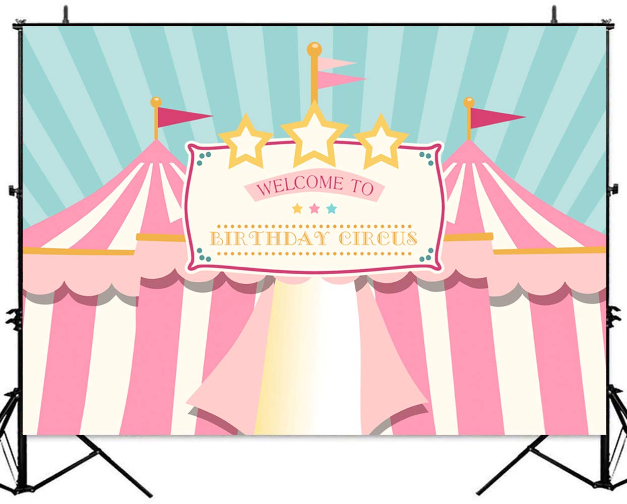 Buy Sensfun Pink Teal Circus Backdrop Pastel Carnival Carousel Big Top