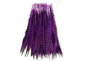 KOLIGHT Set of 10pcs Natural Dyed Pheasant Tails Feathers 12-14 Inch DIY Decoration (Purple)