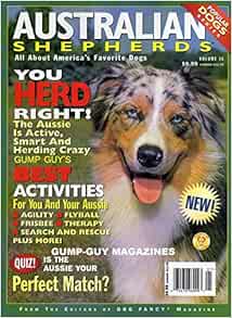 australian shepherd flyball