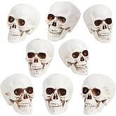 CCINEE 8pcs Halloween Skull Decoration Realistic Looking Skulls Mini Human Skeleton Head Skull Ornaments for Halloween Home Haunted House Day of The Dead Decor Party Supplies(2 x 2.75 x 2.75 inch)
