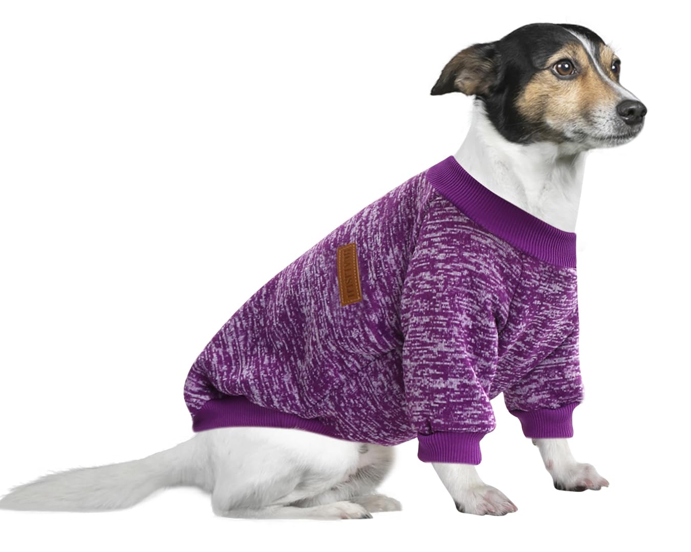 HuaLiSiJi Dog Jumper Large Dog Sweatshirt Chihuahua Jumper Fleece Inside Soft Cozy, Colour Vibrant Easy to Take On and Off (Purple, 4XL)