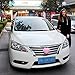 Goetland Easter Bunny Costume Kit Car Vehicle Decorations Accessories Pink Ears & Nose