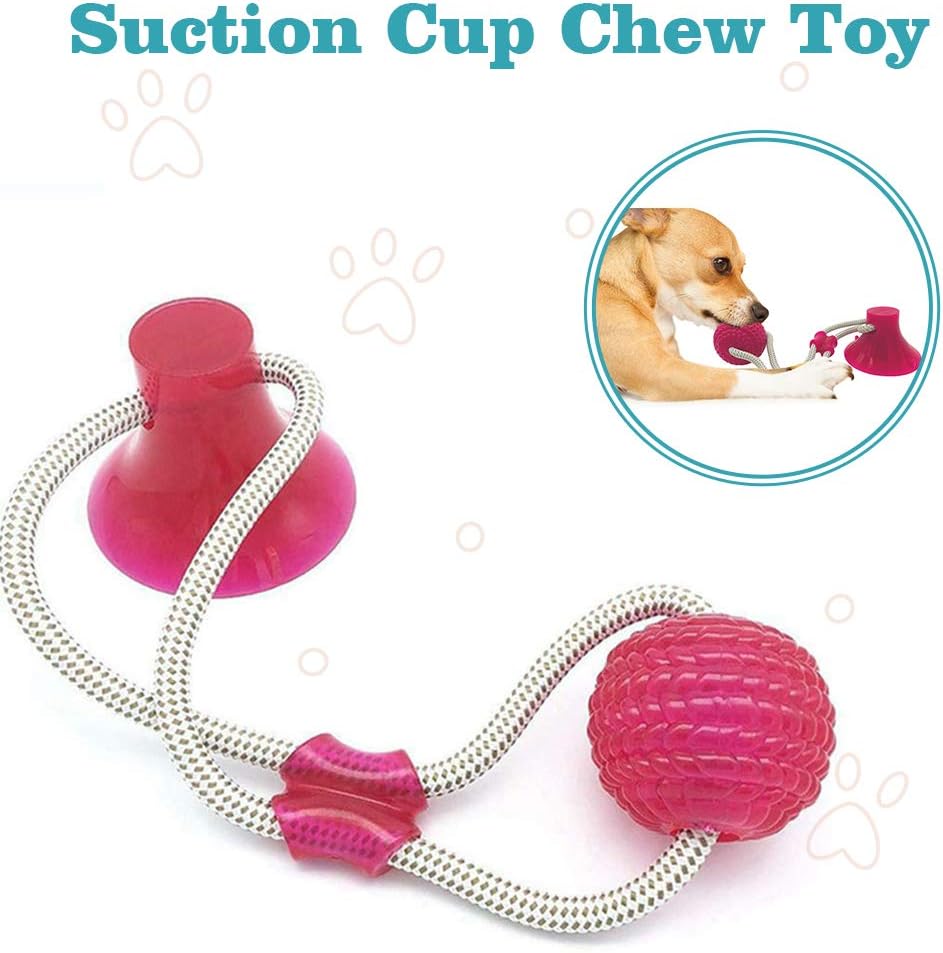 dog suction ball