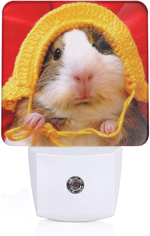 guinea pig lamp