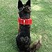 MEIKAI 2 Inch Adjustable Heavy Duty Tough Nylon Classic Dog Collar with Stainless Steel Metal Buckle for Large Dog(Red)