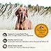 Wellness CORE Puppy Dry Dog Food, Grain-Free, High Protein, Natural, Chicken & Turkey Recipe, (4-Pound Bag)