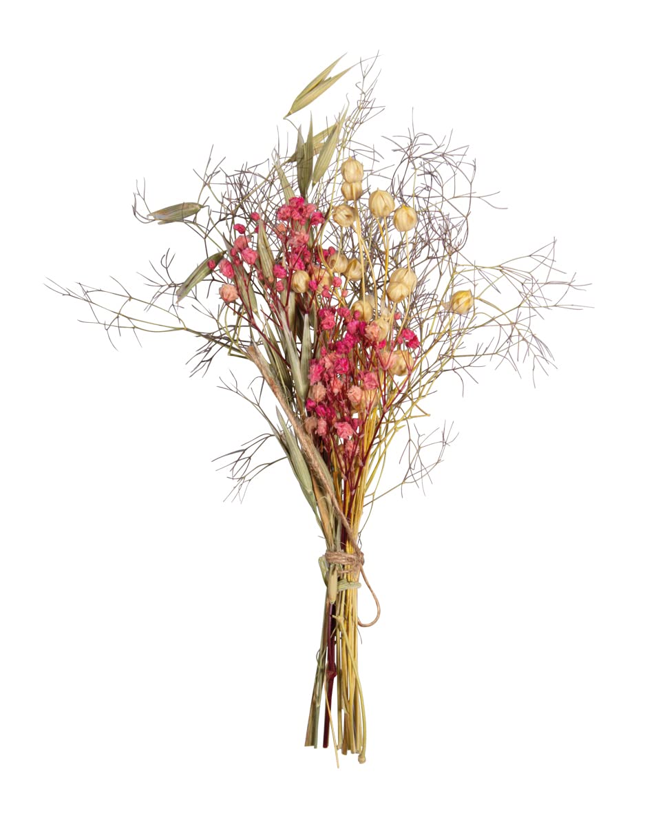 Rayher Dried Flowers and Plants for Crafts, Dried Flower Bouquet for Crafting and Home Décor, Dried Natural Flowers with Stem, pink, 18-20cm, 85491264