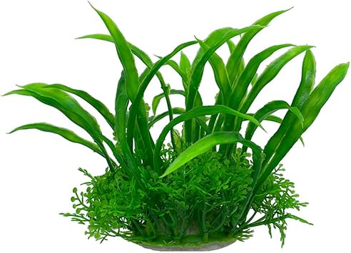 Amazon 水槽用 人工水草 13cm小型水草 レイアウト 水槽 オーナメント 水槽内装 アクアリウム 水槽 飾り 観賞魚 熱帯魚 金魚 爬虫類 隠れ家 水族館内装 構築植物 草の茂み Type B Smoothedo Pets 人工水草 通販 Amazon 水槽用 人工水草 13cm小型水草 レイアウト 水槽 オーナメント 水槽内装 アクアリウム 水槽 飾り 観賞魚 熱帯魚 金魚 爬虫類 隠れ家 水族館内装 構築植物 草の茂み Type B Smoothedo Pets 人工水草 通販