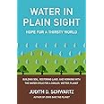 Water in Plain Sight: Hope for a Thirsty World