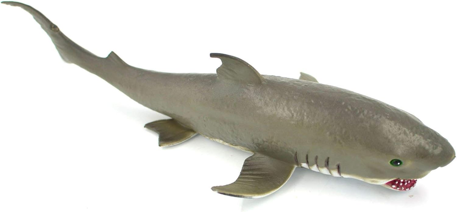 shark rubber