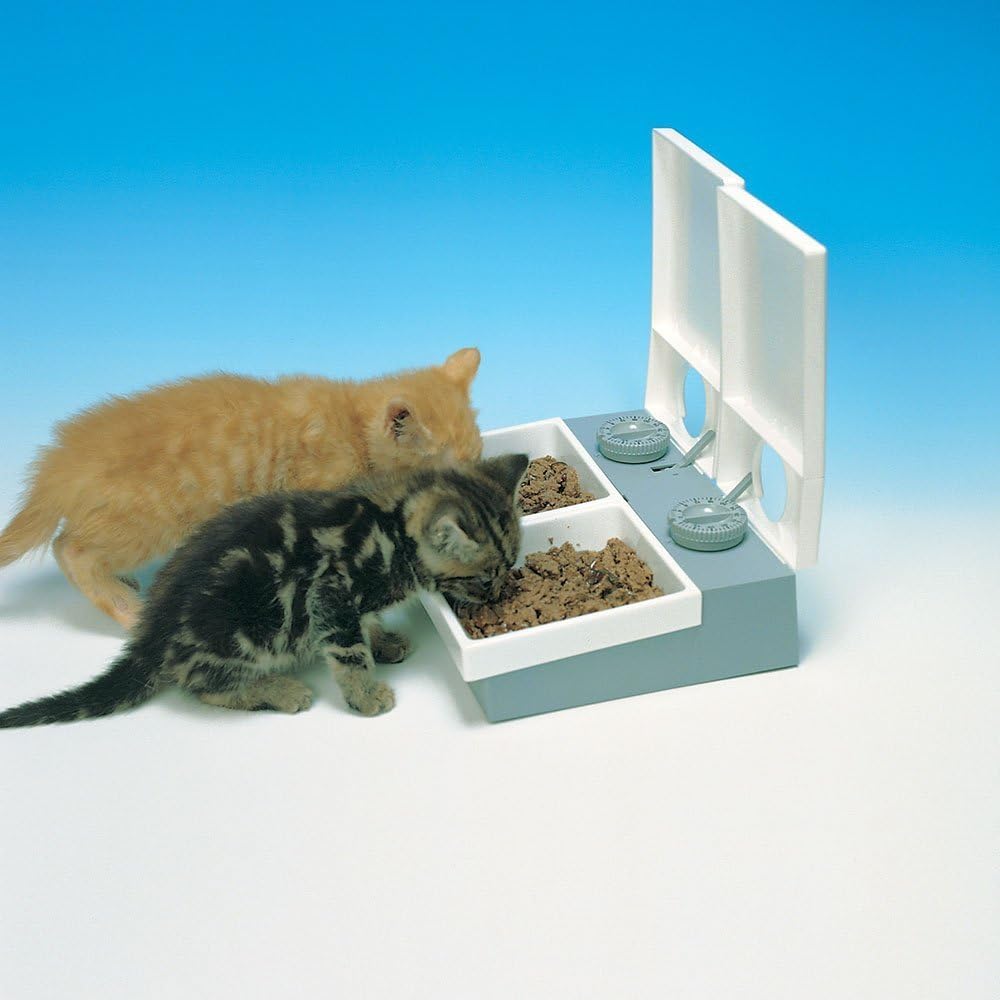 Cat Mate C20 2 Bowl Pet Feeder With Ice Pack : Pet Self Feeders : Pet Supplies