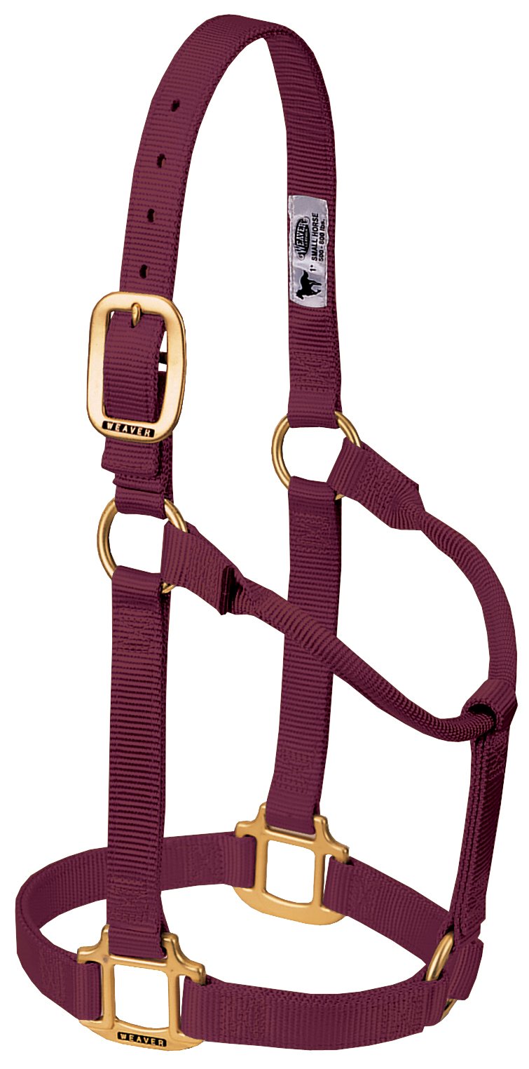 Weaver Leather Original Non Adjustable Halter (Burgandy, Avarage Horse/Yearling Draft)