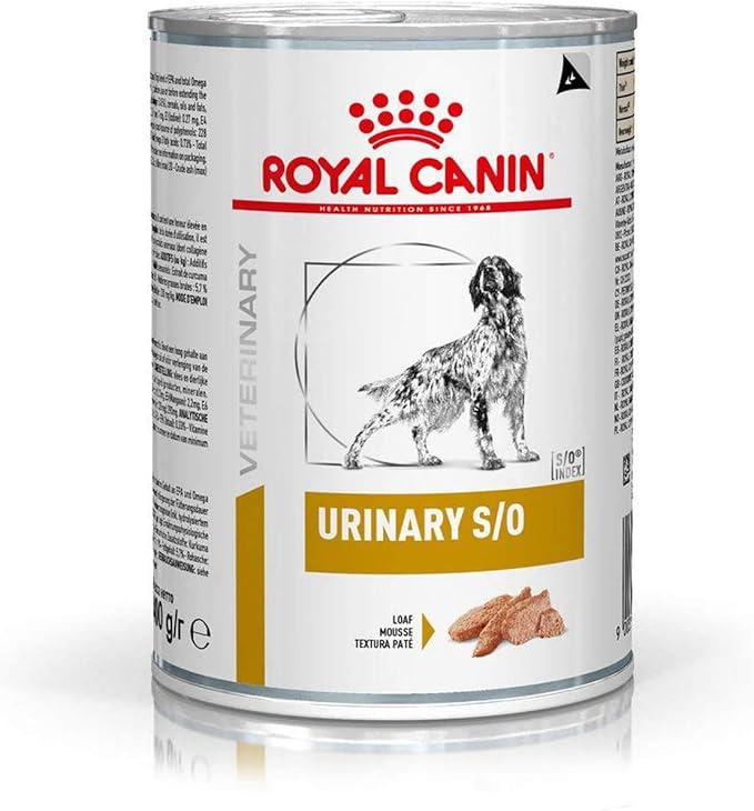 Royal Vet Canine Urinary S/O Caja 12X410Gr 4920 g: Amazon.es: Productos para mascotas
