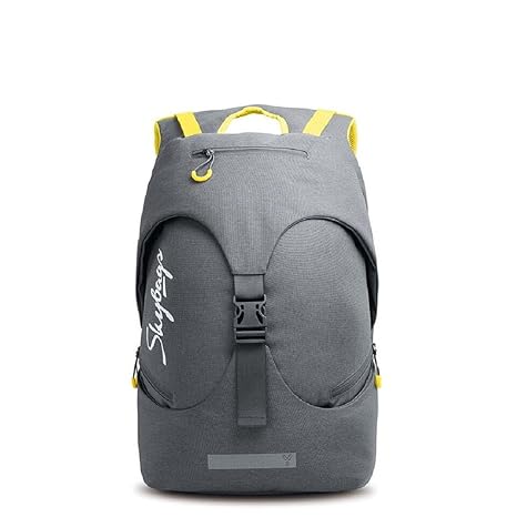 skybags ion 02