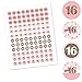 Big Dot of Happiness Sweet 16-16th Birthday Party Round Candy Sticker Favors - Labels Fit Chocolate Candy (1 Sheet of 108)