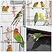 Yaheetech Roof Top Large Metal Flight Bird Cage for Cockatiel Parakeet Conure Lovebird Budgie Parrotlet Finch Canary Small Parrot Bird Cage with Stand (Renewed)thumb 3