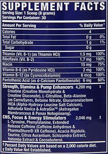 Ronnie Coleman Signature Series Myo Blitz Xs The Ultimate Pre Workout Muscle Builder Fruit Punch Fusion 240 Gram Buy Online In Aruba At Desertcart 3030863