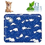 AIIONP Pet Cooling Mat, 2025 New Dog Cooling Mat
