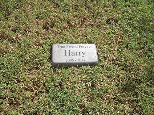 Personalized Engraved Pet Memorial 'True Friend Forever' 8" X 4" (Brick Size)