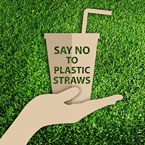 9 oz Eco Friendly Party Cups,100 Clear Corn Plastic PLA Cups Disposable Compostable Drinking Tumblers Biodegradable Punch