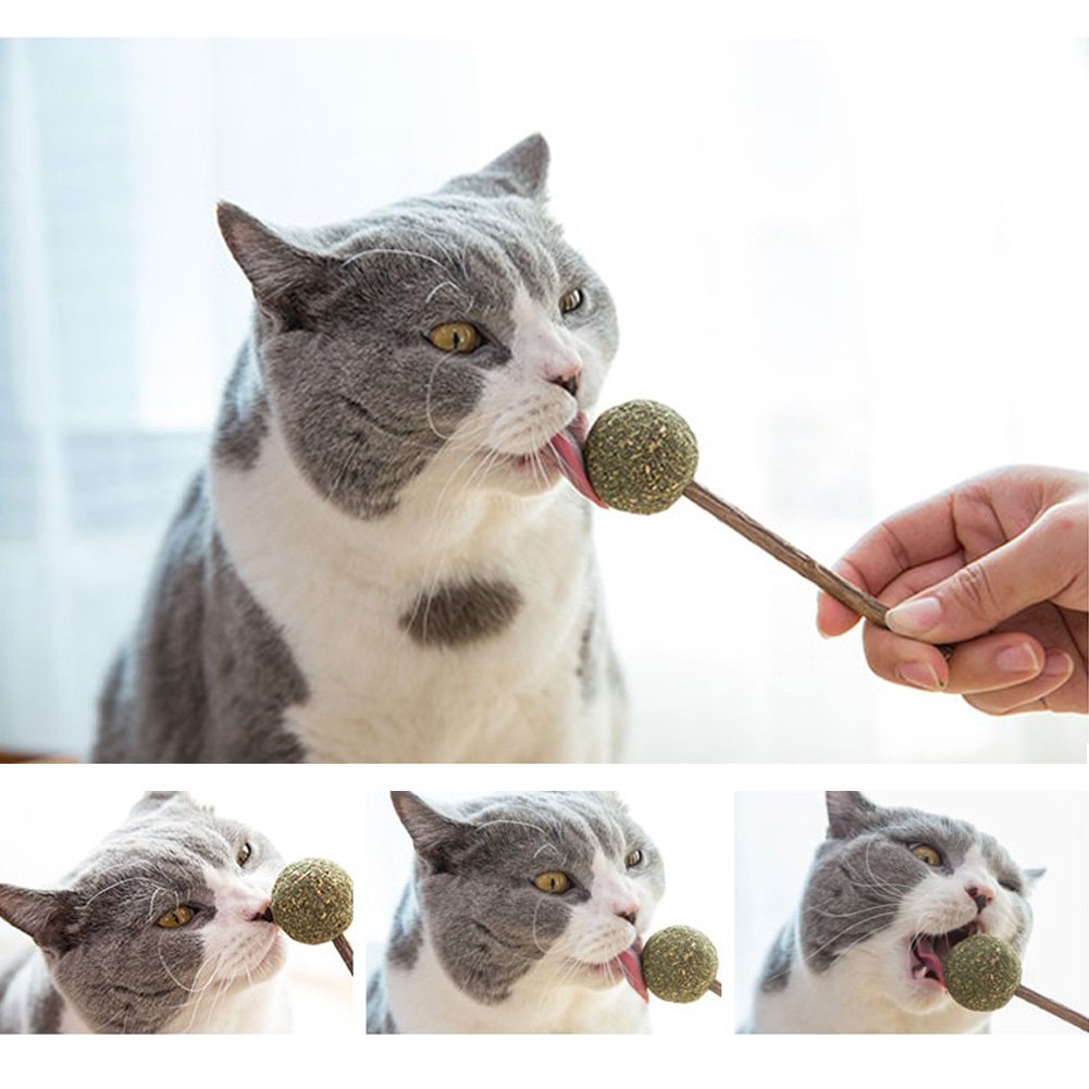 catnip lollipop with matatabi stick