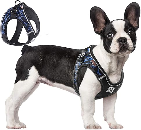 harness for small dogs amazon