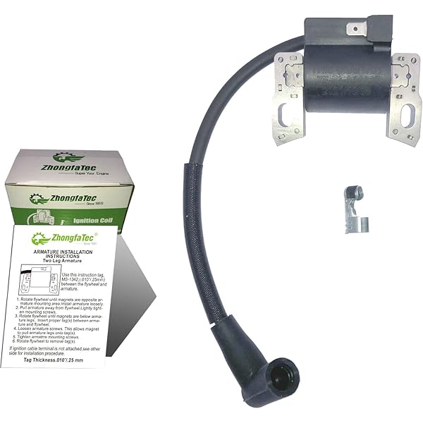 Amazon.com: IGCLINIC 595291 796500 595554 796499 594423 Magneto 