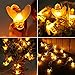 Solar String Lights Outdoor for Garden Decoration, Aukora 30 LED Solar Powered Honey Bee Lights for Trees Flower Fence Grass Lawn Festival, Ideal Gifts(Warm White)