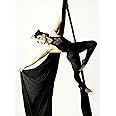 DASKING Premium Aerial Silks Equipment - Safe Deluxe Aerial kit