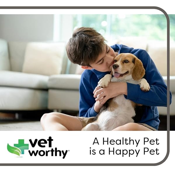 VET WORTHY POTTY ROCKS FOR DOGS – PARAMAGNETIC IGNEOUS ROCKS – HELPS FILTER OUT IMPURITIES AND ELIMINATE URINE LAWN – KEEPS YOUR GRASS GREEN – NATURAL MINERALS – SAFE FOR ALL PETS – 200GRAMS