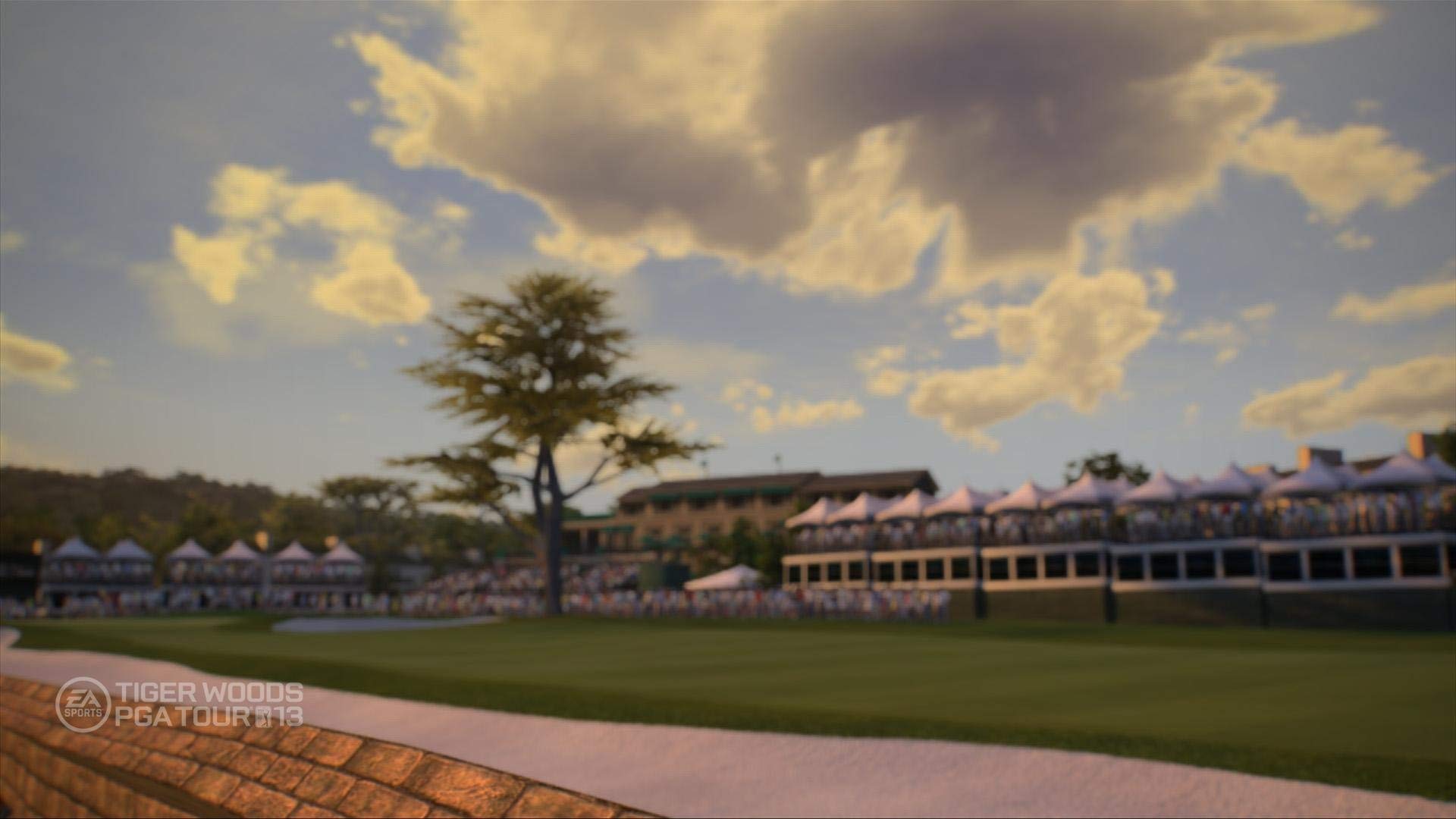 Tiger Woods PGA TOUR 13 - Xbox 360 (Renewed)