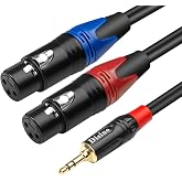 Disino Dual Female XLR to 3.5mm Y-Splitter Cable, Unbalanced XLR Female to 1/8 Inch Mini Jack TRS Stereo Aux Interconnect Audio Mic Breakout Patch Cord - 3.3 Feet/1 Meter