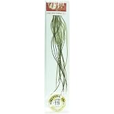 Whiting Farms 100's Saddle Hackle Pack &ndash; Olive Size 18