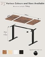 Devoko Electric Standing Desk 140x60 cm Height Adjustable Rustic Brown view 6