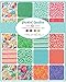 Painted Garden Charm Pack by Crystal Manning; 42-5