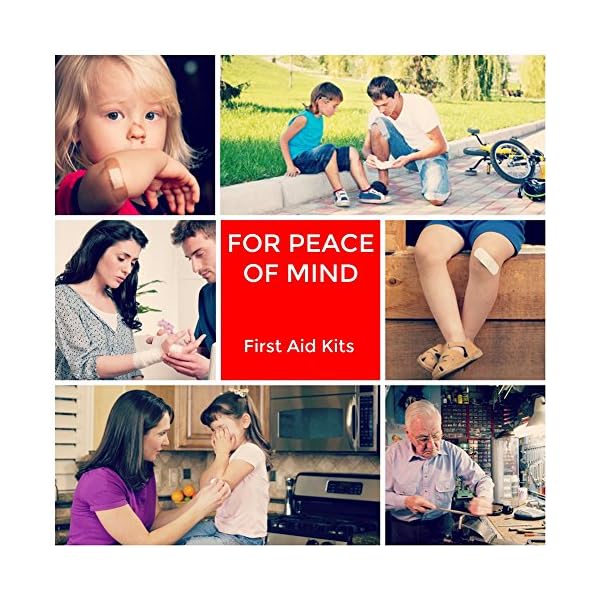 Eggsnow-First-Aid-Kit-Medical-Kit-Emergency-Bag-69-PieceCompact-Survival-Kit-and-Comprehensive-Ideal-for-Home-Auto-Travel-Road-Trips-CampingSport-and-Wilderness-Survival