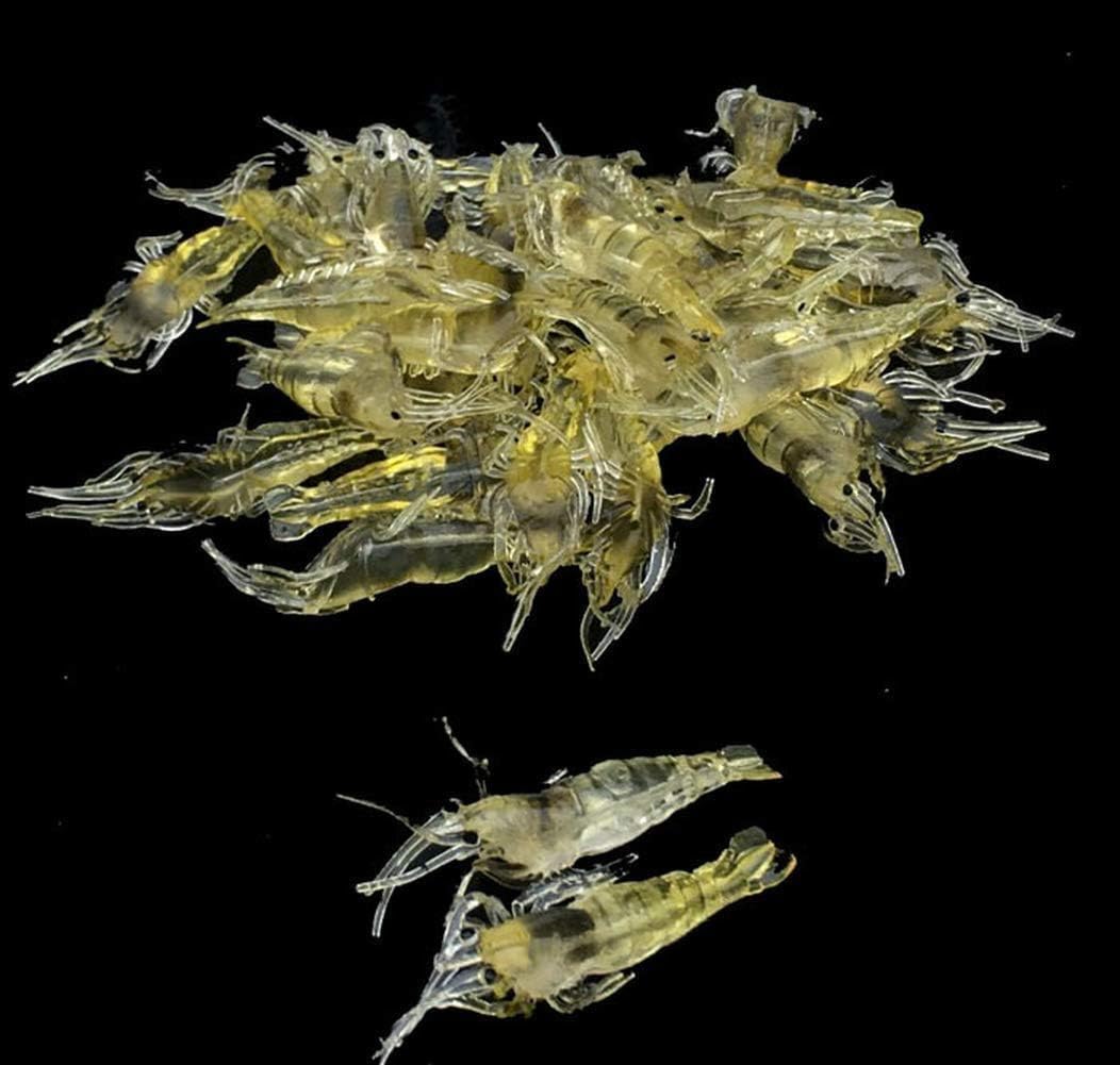 10 Pcs 4cm Simulation Fake Bait Grass Shrimp Lures Soft Shrimp Bait Fishing Gear Cost-Effective Convenient Soft Lures, Baits and Attractants