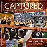 Captured: Lessons from Behind the Lens of a Legendary Wildlife Photographer (Voices That Matter)