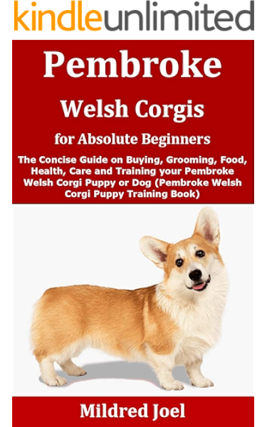 corgi care guide