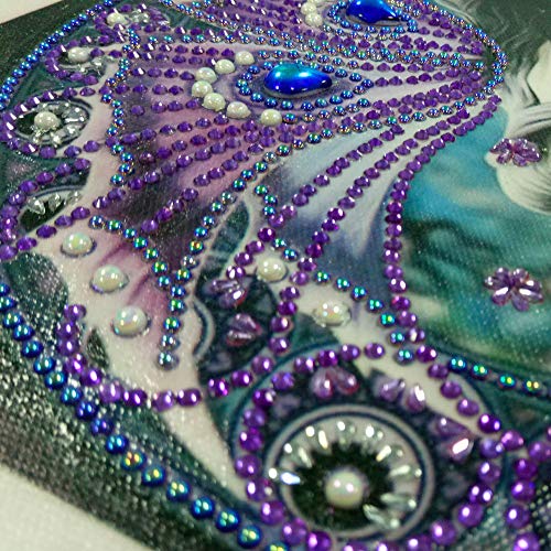Staron  Newest Diamond Painting Kits - Crystal Special Shaped 5D Drill Cross Stitch Craft Kits Pictures Paint with Diamonds Home Wall Arts Decor Mosaic Making (H) - Thumbnail 5