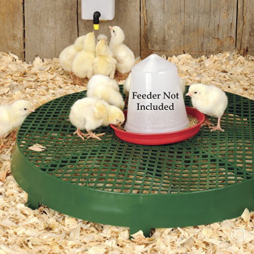 Premier Poultry Feeder/Waterer Stand
