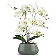 LIVILAN White Orchid Artificial Flowers with Pot Large Fake Silk Orchids Plant Orquidea Artificial Phalaenopsis Orchid with Ceramic Grey Vase Indoor Decor Table Decoration