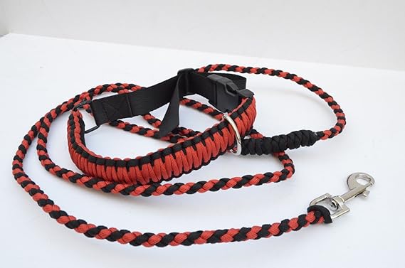 kumihimo dog leash