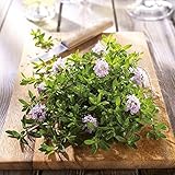 Image de Food & Spices (171010)