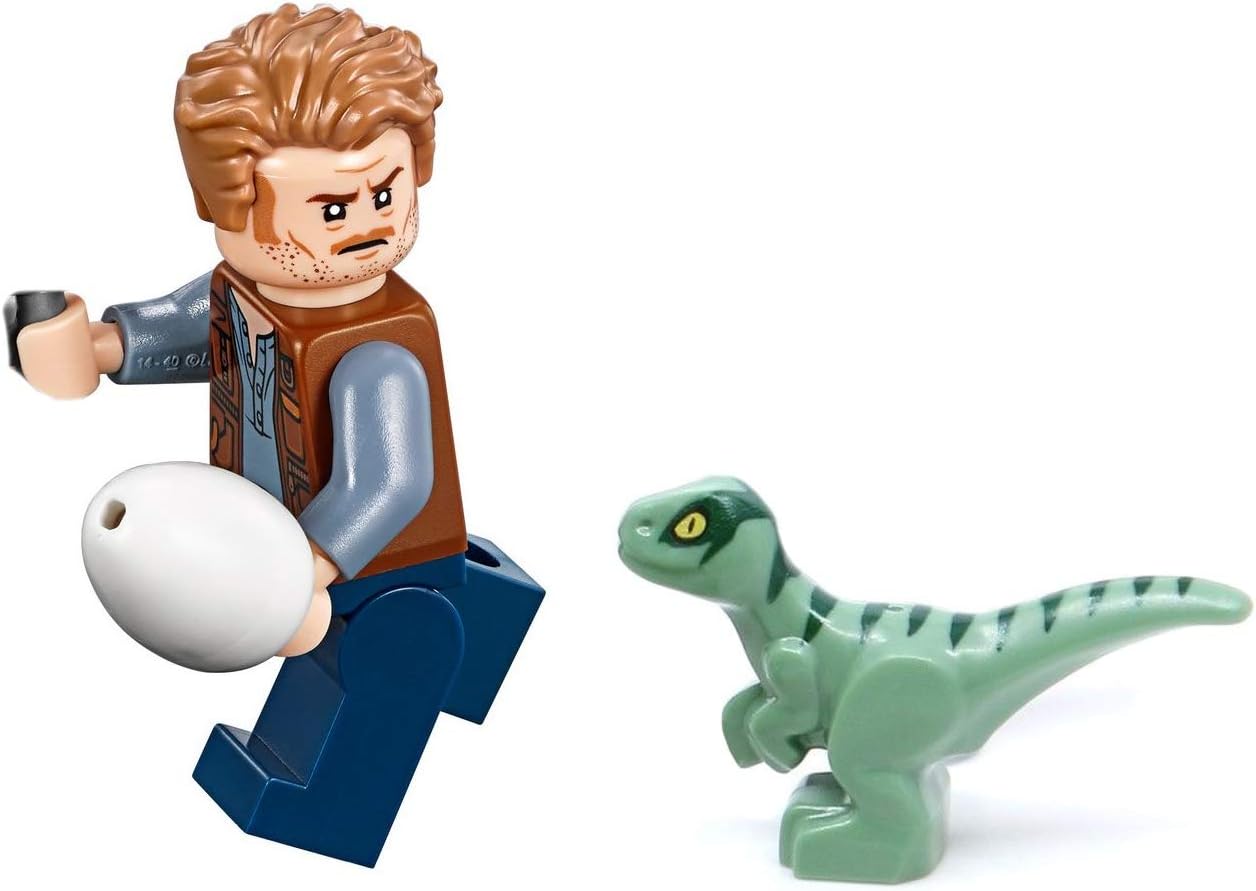 With Blue The Raptor And Dinosaur Egg Minifigureland Lego Jurassic World Fallen Kingdom Owen Grady Figures Building Toys Kiririgardenhotel Com